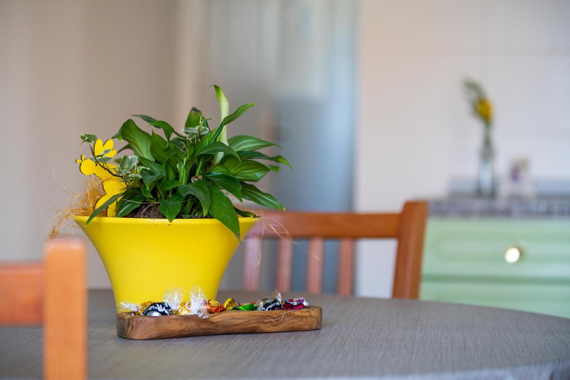 Apartment Lenko 2 Kožino Zewnętrze zdjęcie
